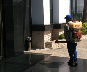 Phun thuốc diệt ruồi hiệu quả Phun-thuoc-diet-ruoi