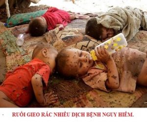 Ruoi-gay-ra-nhieu-dich-benh Ruoi-gay-ra-nhieu-dich-benh