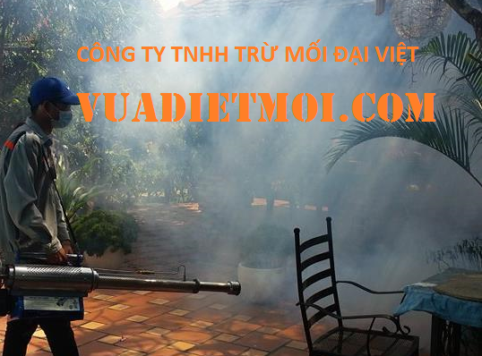 Cong-ty-diet-muoi Phun Thuoc Diet Muoi Tai Binh Thuan